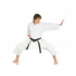 Nihon karatepak trainingen/wedstrijd TOP  NIHKAR05